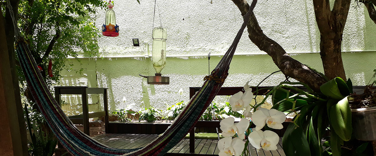 Saúde Mental Humanizada